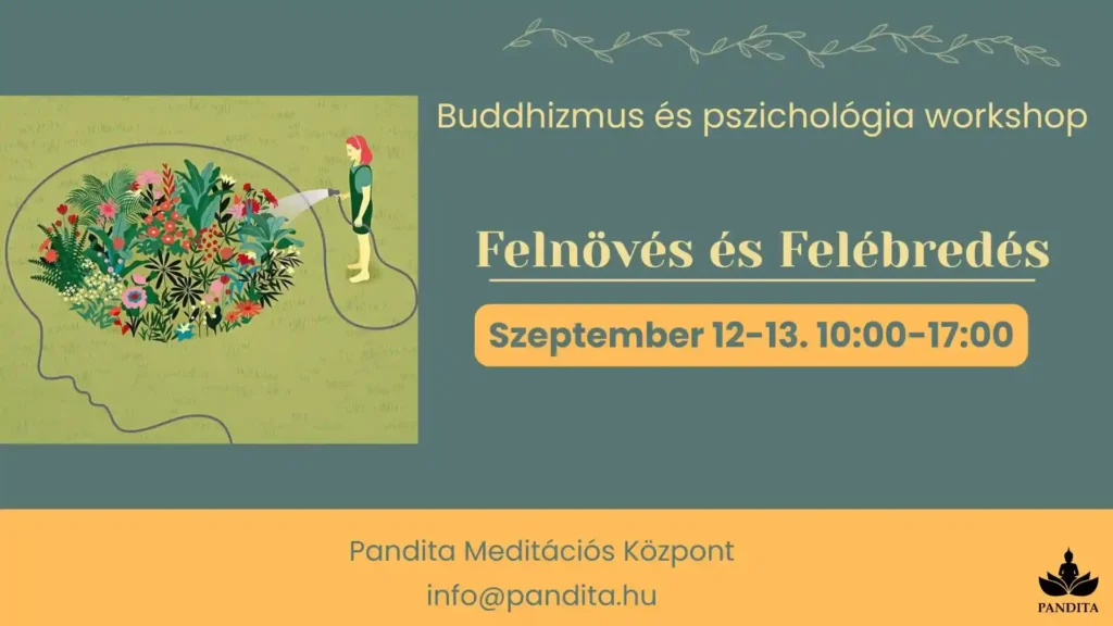 Buddhizmus és pszichológia workshop - Felnövés és Felébredés
